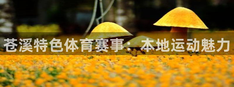 77体育app下载官网