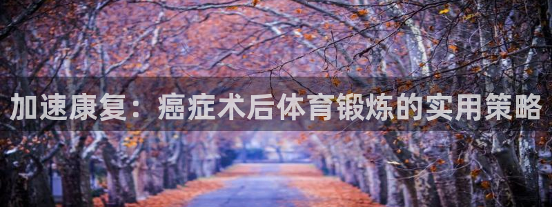 77体育app下载官网