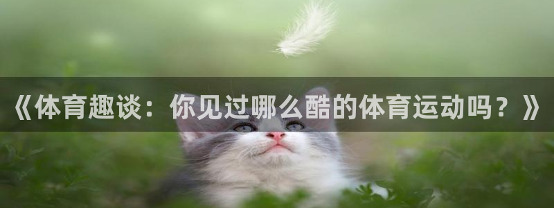 77体育官网