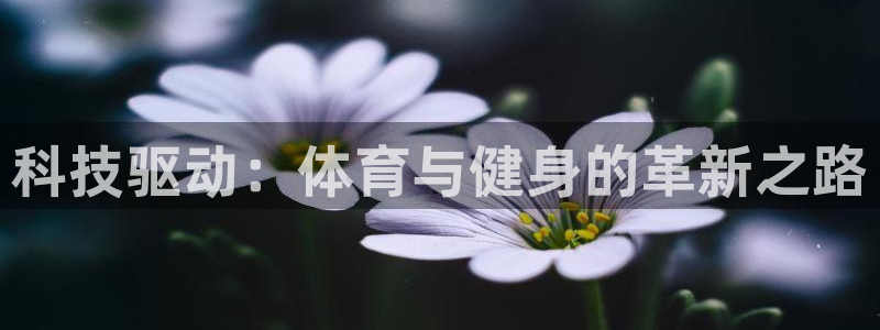 77体育app下载官网