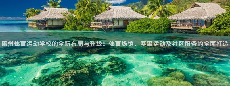 77体育app下载官网