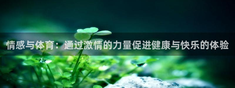 77体育
