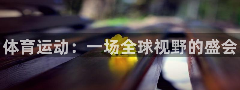 77体育