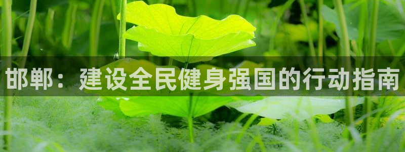 77体育app下载官网