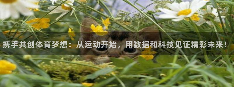 皇冠277体育