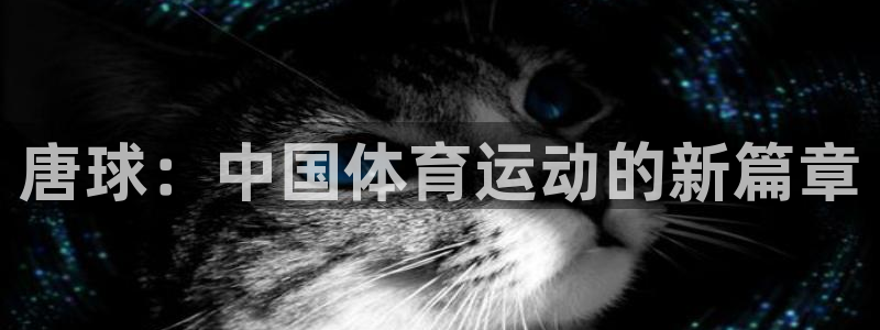 77体育官网
