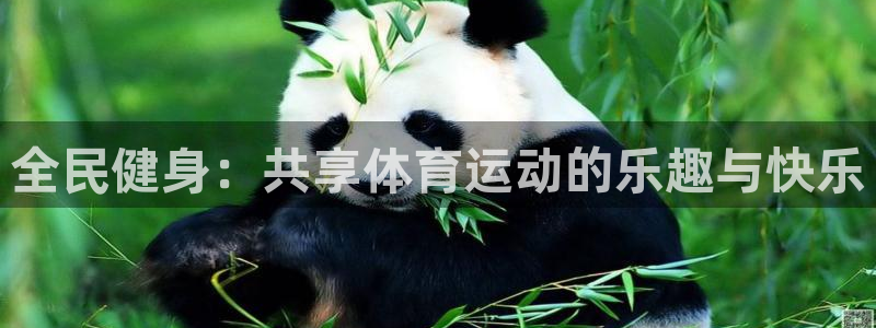 77体育app下载官网