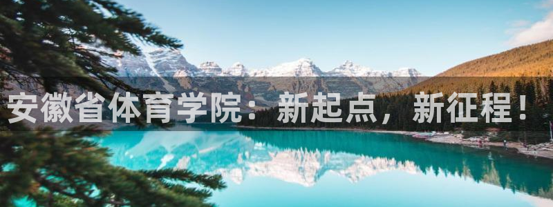 77体育