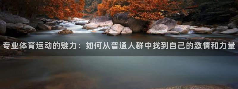 77体育官网